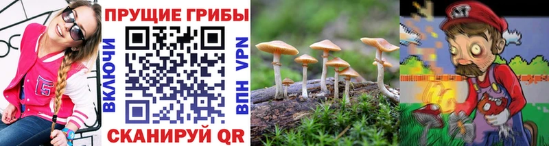 Псилоцибиновые грибы мухоморы  Ахтырский 